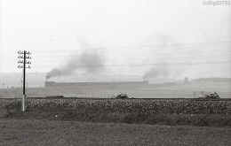 hjk_440504_riestedt_1.jpg (95503 Byte)