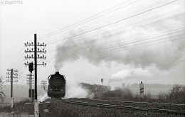 hjk_440798_riestedt_1.jpg (109472 Byte)